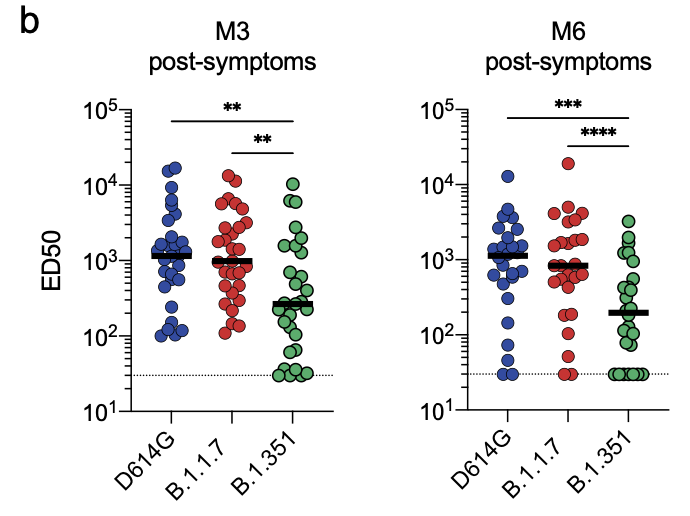 Next, we randomly selected 28 samples, including critical, severe, and mild cases, all from  @CHR_OrleansThe D614G and B.1.1.7 strains were similarly sensitive to sera, but B1.351 showed a significant decrease of 5 to 10-fold at the two time-points tested (Month 3 and 6).7/16