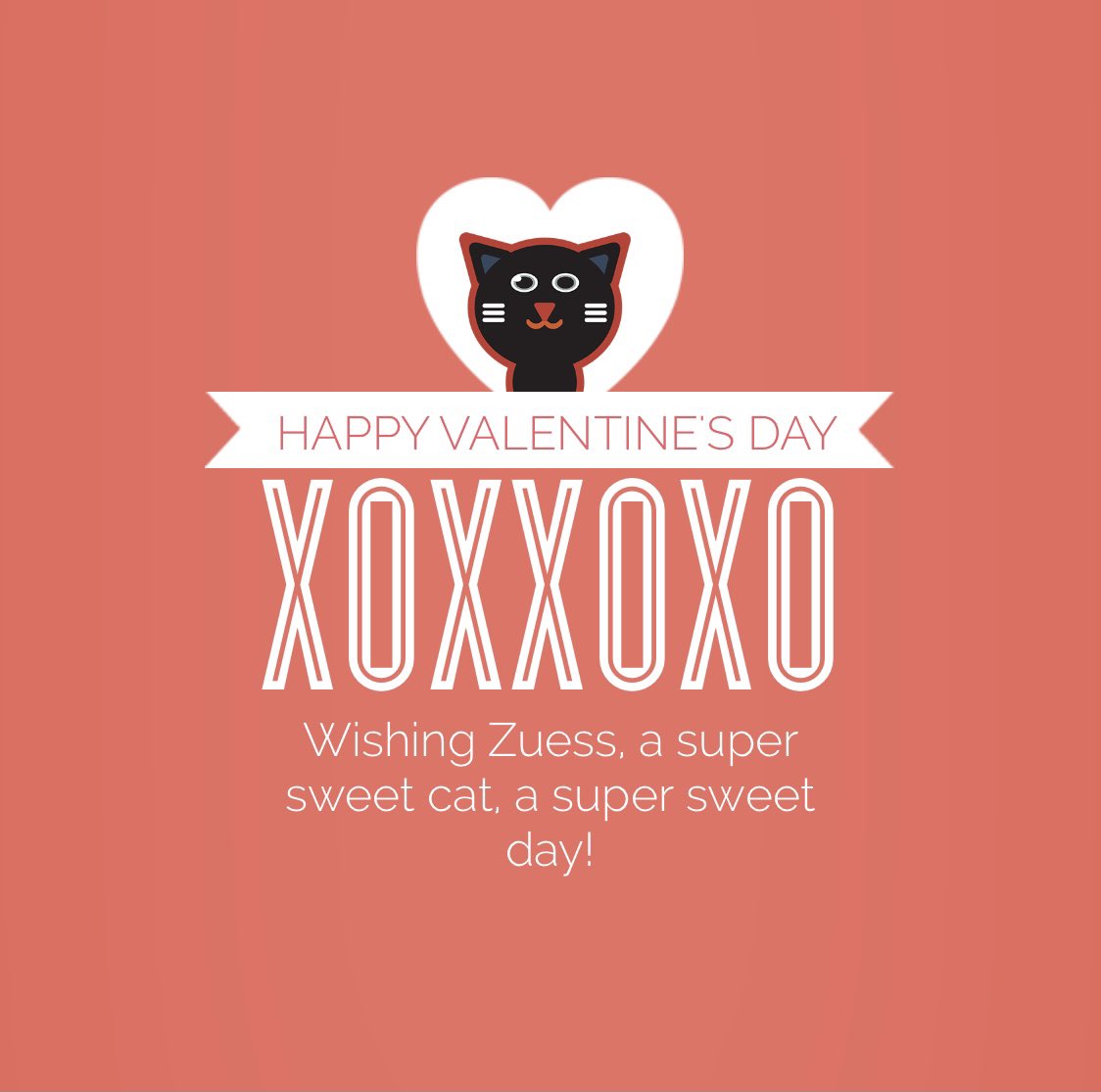 socattastic's tweet photo. Love this! Zeus wants to say thank you @ZodiaCat for the #ValentinesDay wish. ❤️❤️❤️ https://t.co/ITM99l7Dcp