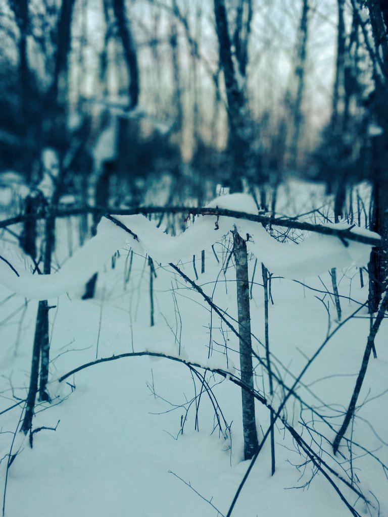 Bez Sami, Bez Sami skuchno 🎶 tweet media