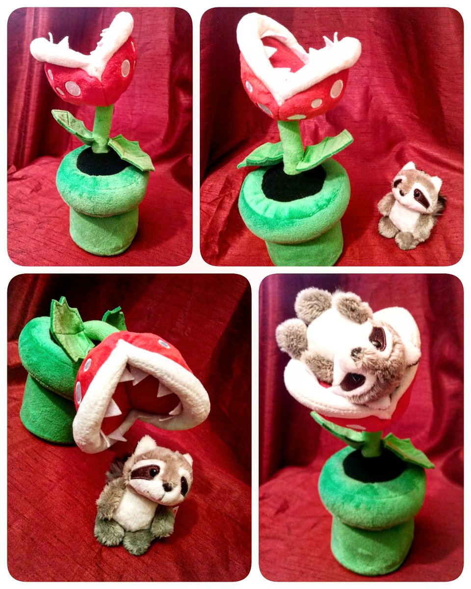 Zum Valentinstag habe ich von Olli eine Blume geschenkt bekommen!😂🌷

Jetzt muss ich auf meine kleinen Tiere acht geben, dass sie ihr nicht zu nahe kommen!😱🌷

#Valentinstag #Valentinesday #Blume #supermario #nintendo #plüsch #flower #raccoon #raccooncity #licker