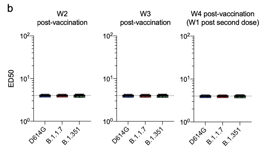We did not detect any neutralizing activity in the nasal swabs of those individuals.11/16