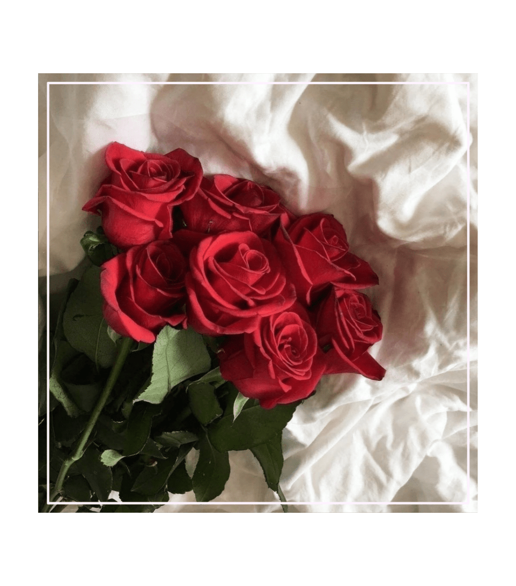 noctayuri's tweet photo. ⠀   
⠀    ⠀    〝Happy Valentine's Day, @pipolapique. Yang satu ini bonus rahasia. Jadi jangan katakan pada yang lain, oke?〞
⠀ https://t.co/BF7kfhj6OO