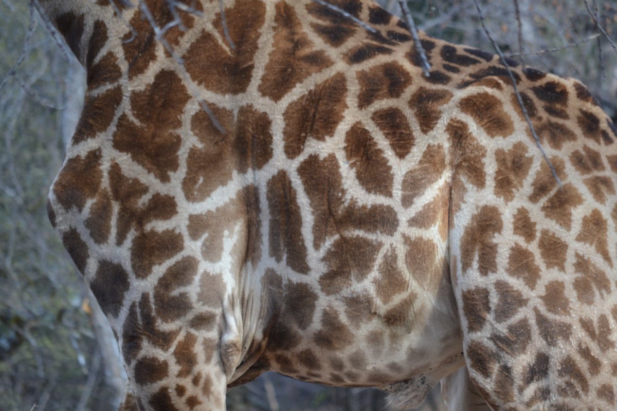 HAPPY VALENTINE’S DAY! 
facebook.com/57832536884540…