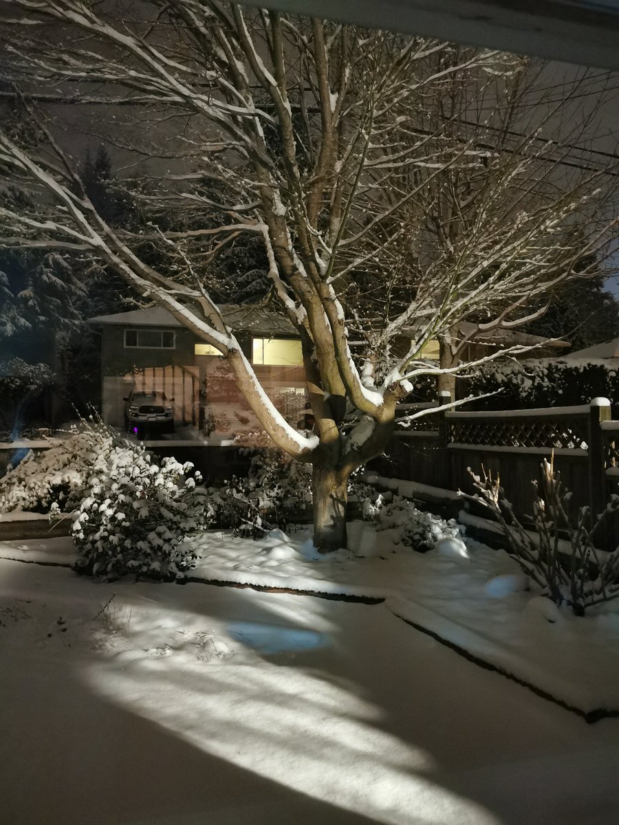 Take it easy out there folks. It's a winter wonderland.