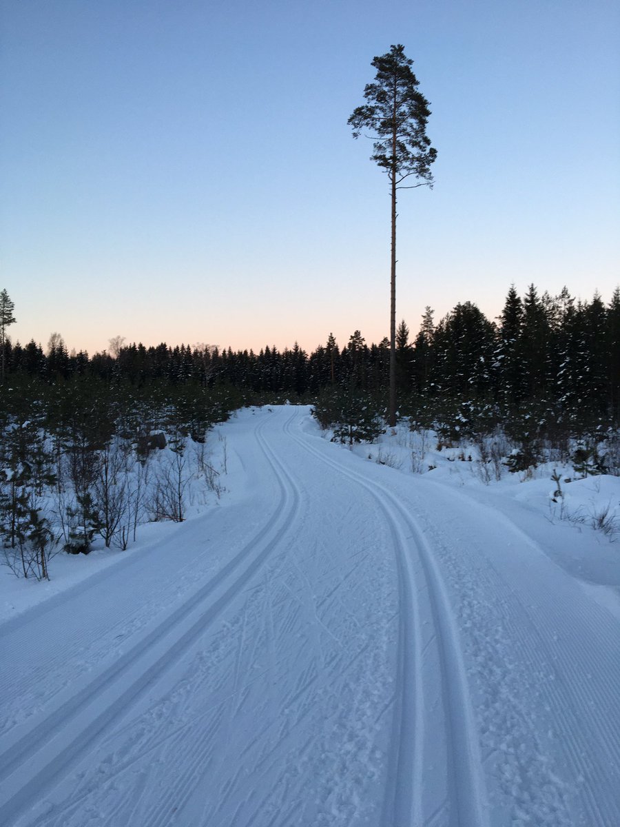 Olen mielestäni hyvä hiihtäjä. Eilen hiihtokoulu opetti etten ole oikeasti hyvä. Uuden opettelu vaatii 30 toistoa ja sillä matkalla olen. Matkalla huipulle 💪😁#hiihto #toisto #elämäonihanaa