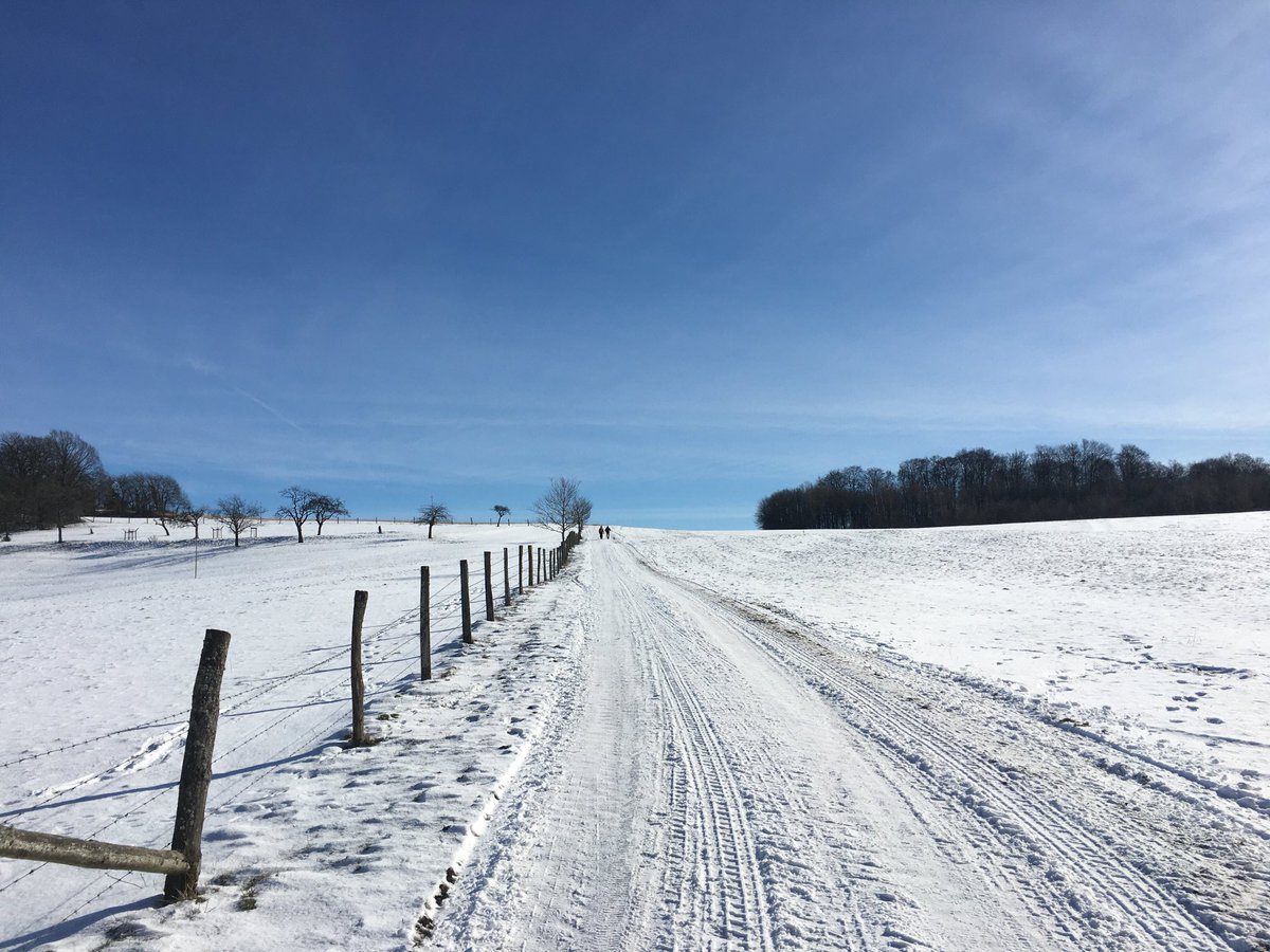 NaturfreundeBV's tweet photo. Das Wetter muss man ausnutzen #Wanderung auf dem 3 Täler Weg vom #Nabu #Gelnhaar #Vogelsberg herrlich und informativ wir kommen wieder im Frühling #wandern https://t.co/WDu9MMXAoN