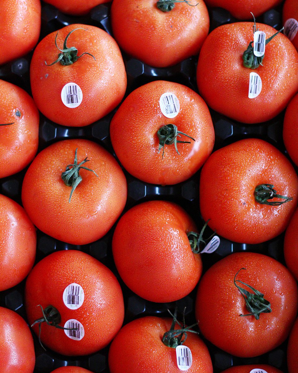 TheHoustonFM's tweet photo. The only 3 words that matter this Valentines Day...Vine Ripe Tomatoes🍅❤️

We are open rain or shine (and maybe snow) everyday from 5:30 AM - 6PM. Stop by and show your favorite local businesses some love! #locallove #happyvday #houstonfarmersmarket https://t.co/VXu91I88ct