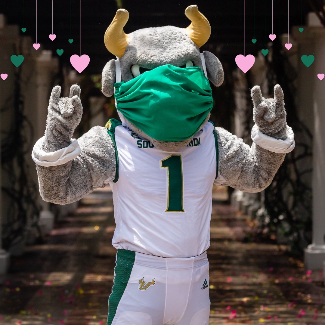 Show Rocky some 💚 💛  #HappyValentinesDay, Bulls!