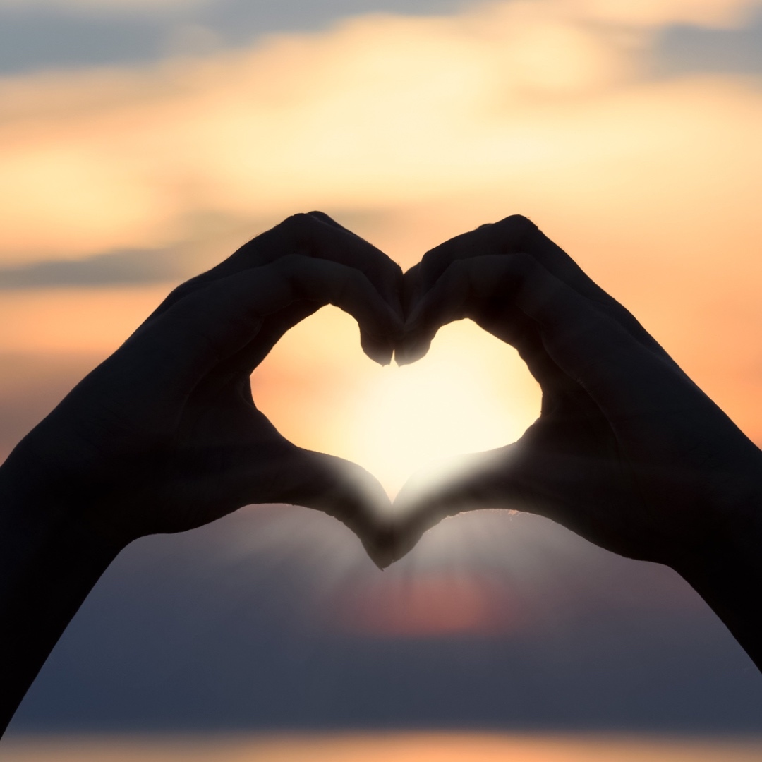 fleurdeviecbd's tweet photo. Wishing all you love birds a #HappyValentinesDay!!❤️❤️❤️❤️❤️

 #morethancbd #fleurdeviecbd #plantsoverpills #pilladdiction #healthcare  #love #valentines  #cannabiscommunity https://t.co/wveFxQT5E0
