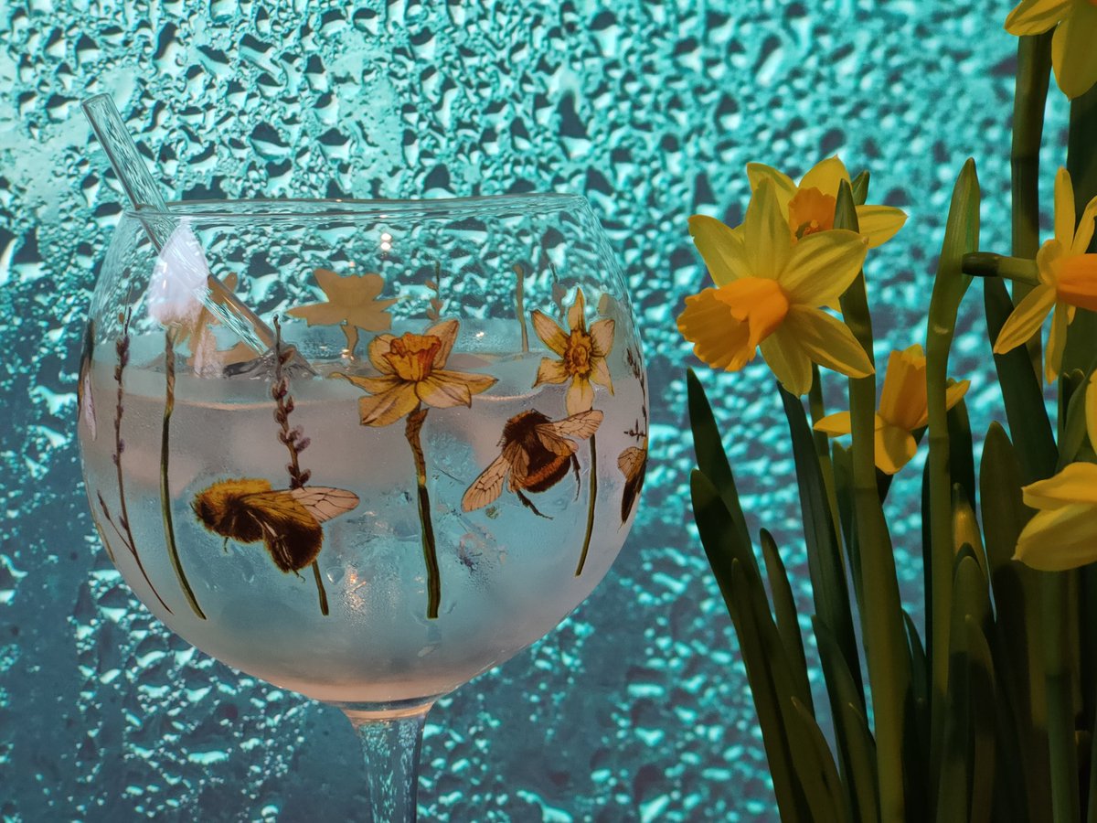 All my favourites. A huge glass of #gin, bumblebees, daffodils.
