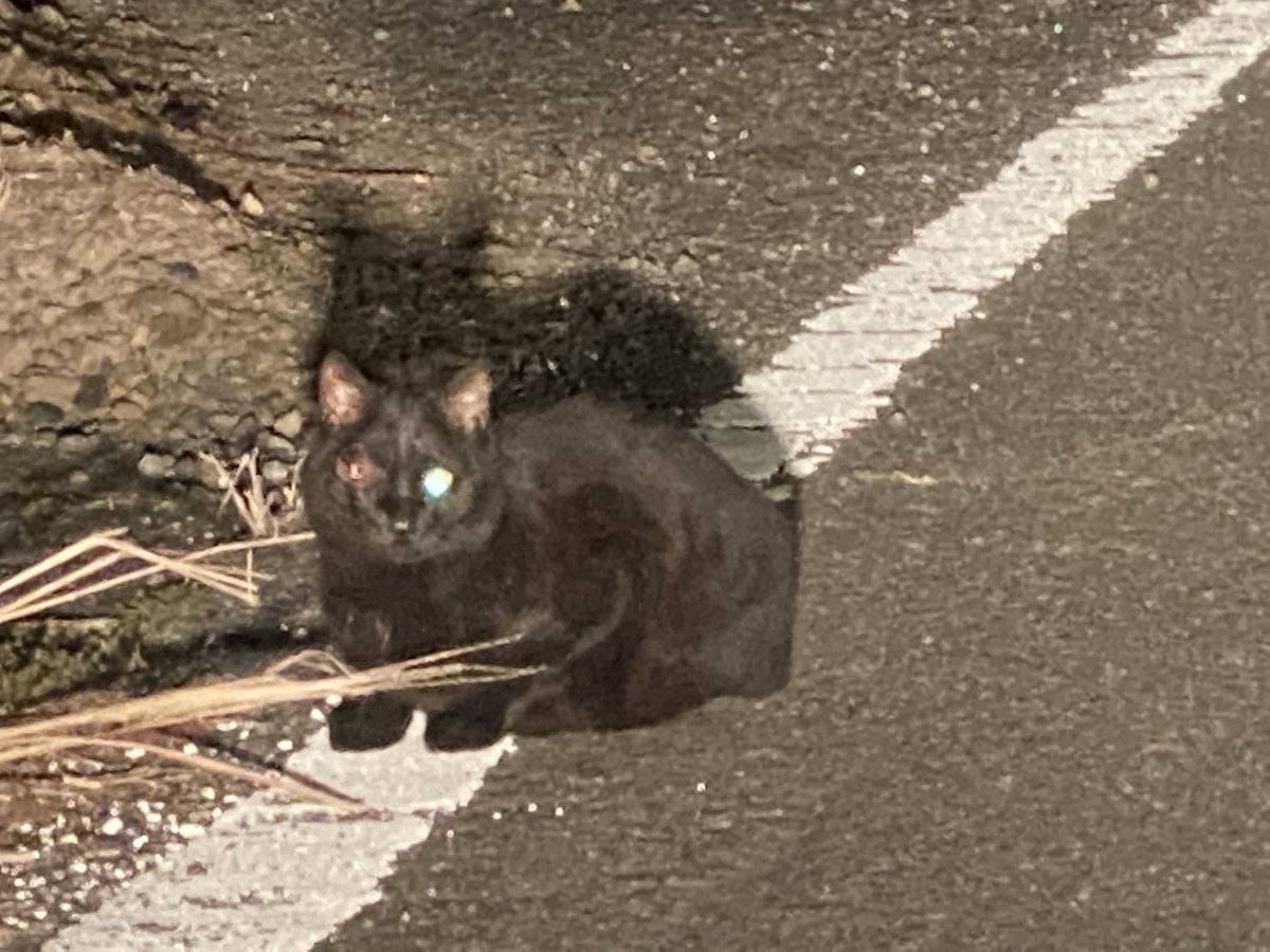 みんなの ビストロ 口コミ 評判 25ページ目 食べたいランチ 夜ごはんがきっと見つかる ナウティスイーツ