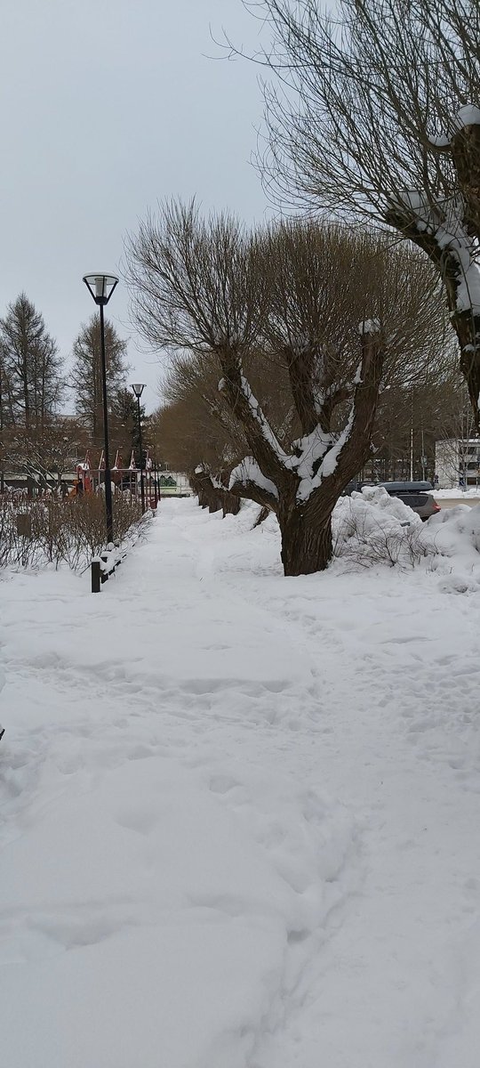 Snow in Helsinki
#SundayMorning https://t.co/bEeJqyfJ0Y
