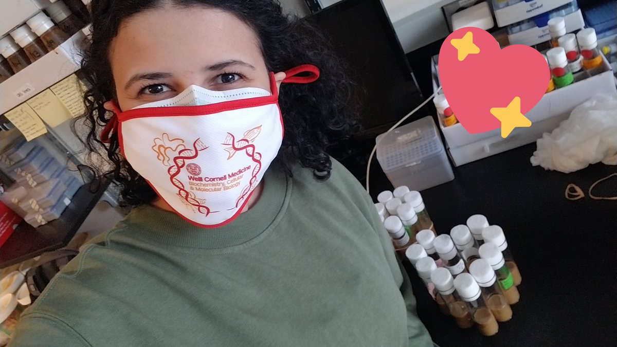 I show my flies I love them by checking on them on Valentine's Day 💜

(NOT an endorsement of working on weekends in grad school)

#ValentinesDay #DoubleDocs #AcademicTwitter #phd