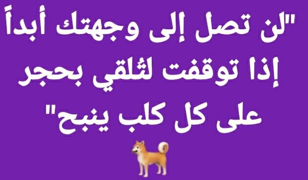 hamde_zaid's tweet photo. https://t.co/Avv68BRF1A