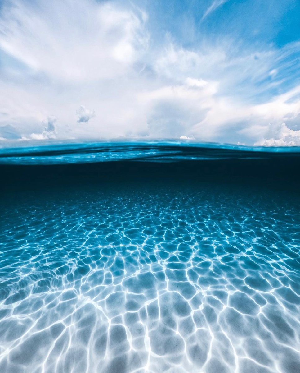 Surfrider Florida Keys tweet media