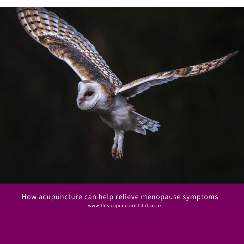 Arc_Acupuncture's tweet photo. The link between menopause and acupuncture goes back centuries and reflects the ancient Chinese approach to the celebration of life.

Acupuncture offers a very effective solution to managing the symptoms of menopause - https://t.co/ldchYOe1Dh

#Menopause #London #Women https://t.co/HghOds2tNk