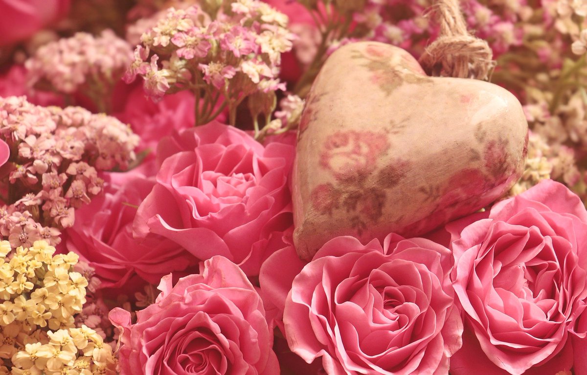 trial_law's tweet photo. Happy Valentine's Day! 💝 https://t.co/A2JZ7tryBY