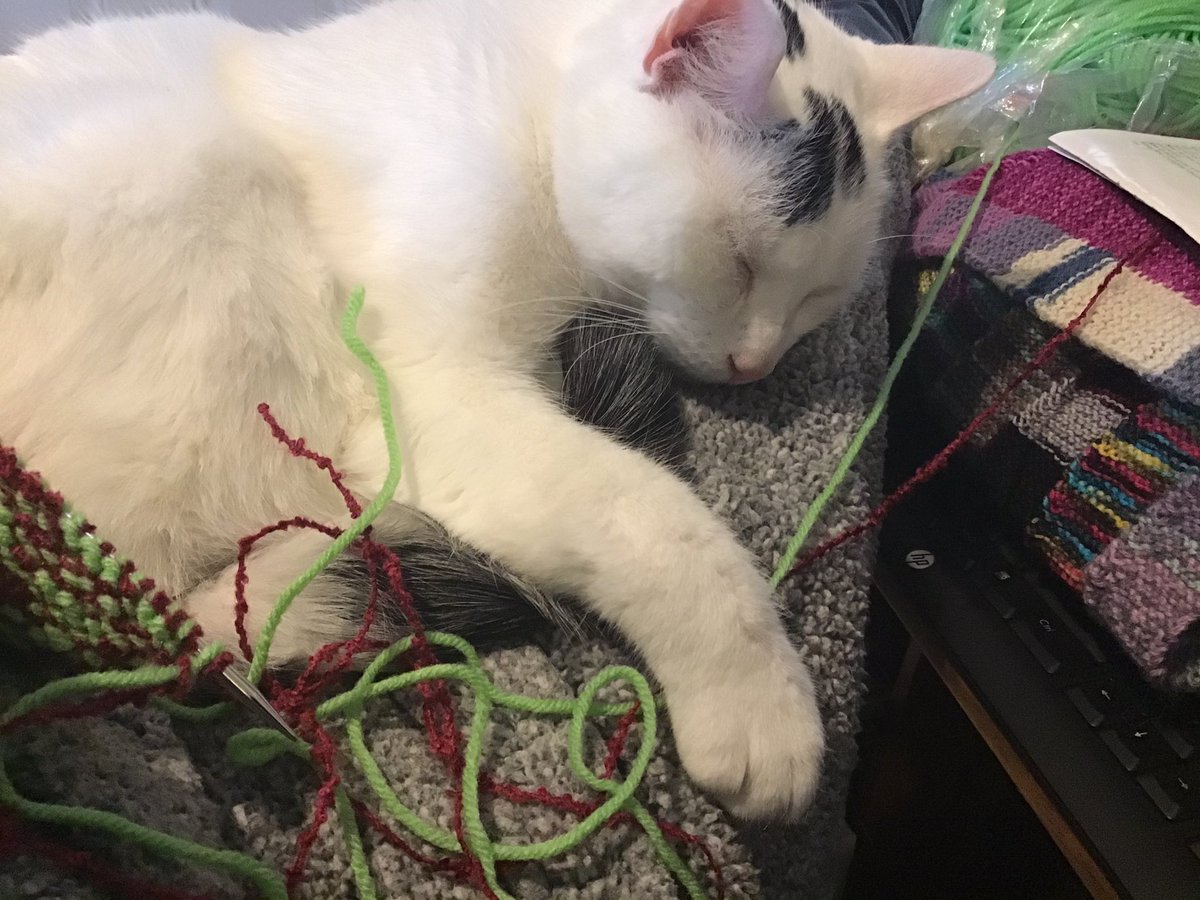 Jocelynn13's tweet photo. #CatsOfTwitter #catsofinstagram #knitting #knitstuff #knithappens #cats Rorschach the tension keeper https://t.co/17W6INkT06