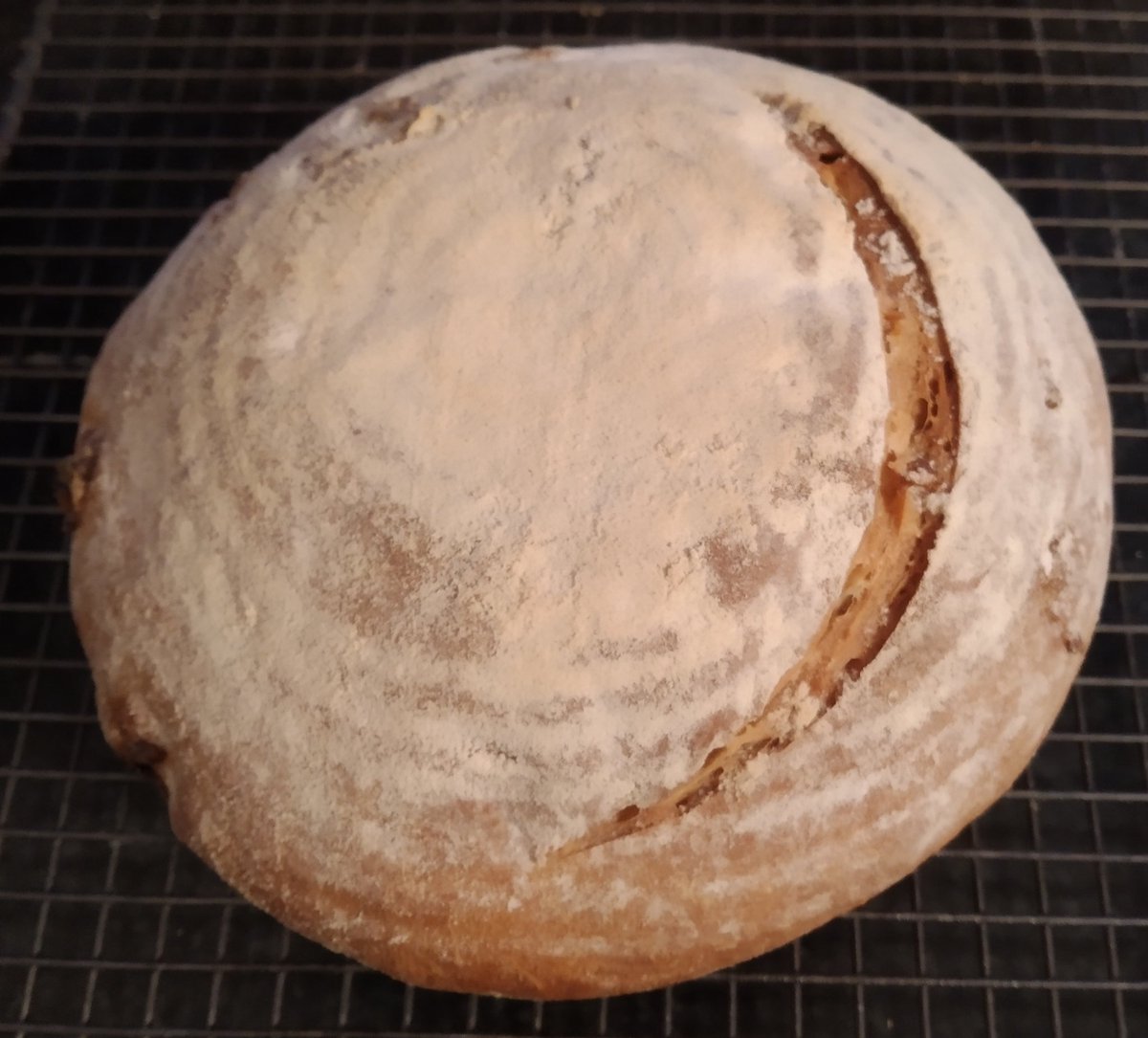 NordicLaura's tweet image. Walnut bread to go with my fondue. #fondue #walnutbread #walnut #bread #baking #homemade