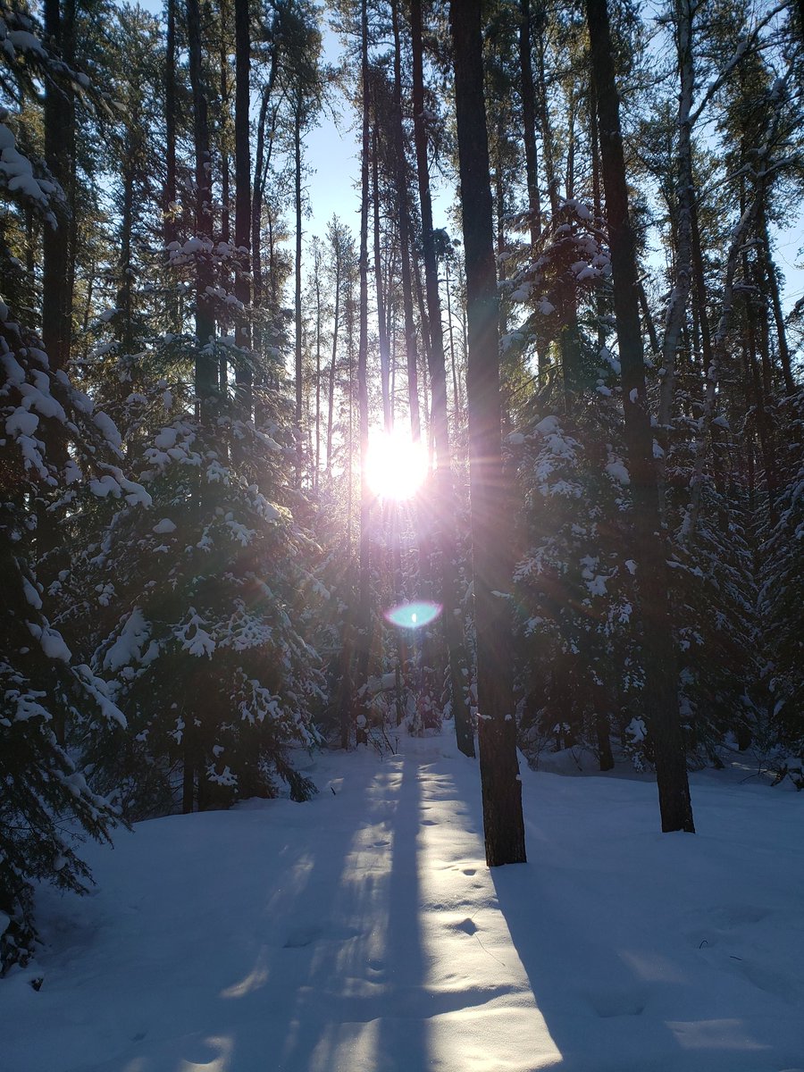 KaitlinMcCaw's tweet photo. @mixbecca Early morning walk... https://t.co/SPMwKIzAmn