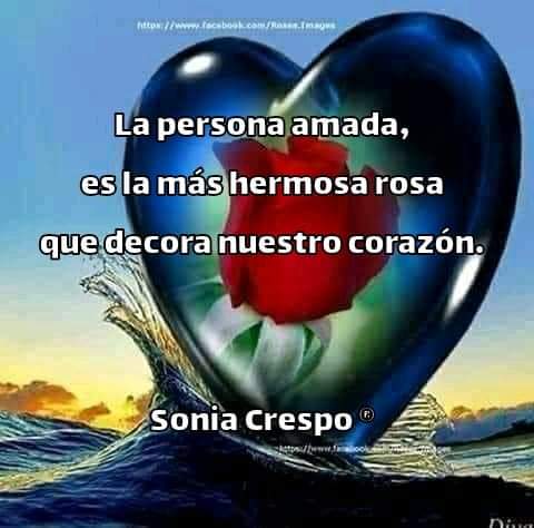 sonia_crespo (@soniacr03556235) on Twitter photo 