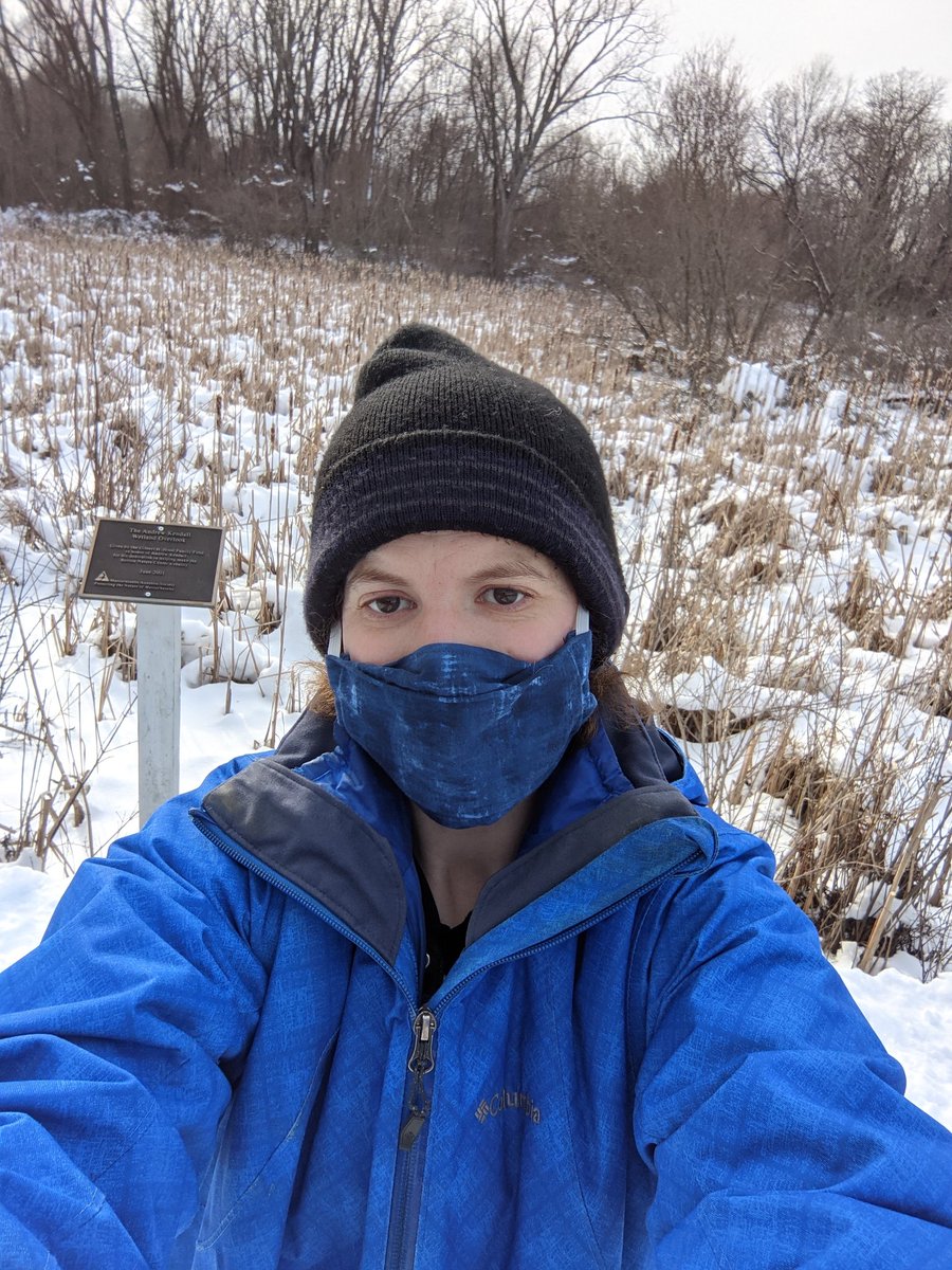 I am lucky to be able to take walks in the nature center. I might be the only one on the trail but I still have my mask! Because I'm  #HighRiskMA and have to wear a mask every time I leave the house.