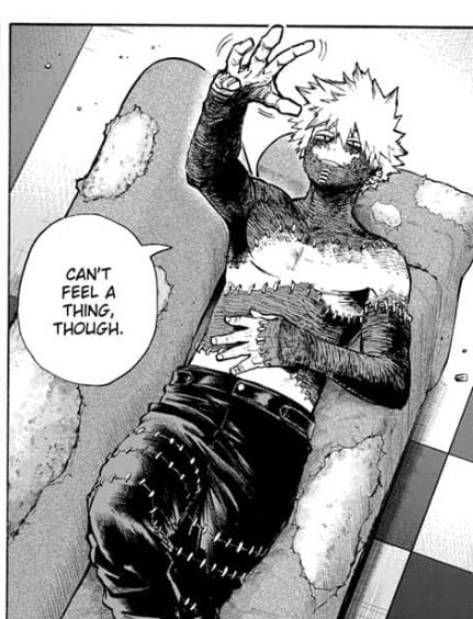 hold up, not only can dabi's body handle ice but he's also burnt up so badly he can't feel anything from fire too.
so.. seems like only death can stop him after all. 