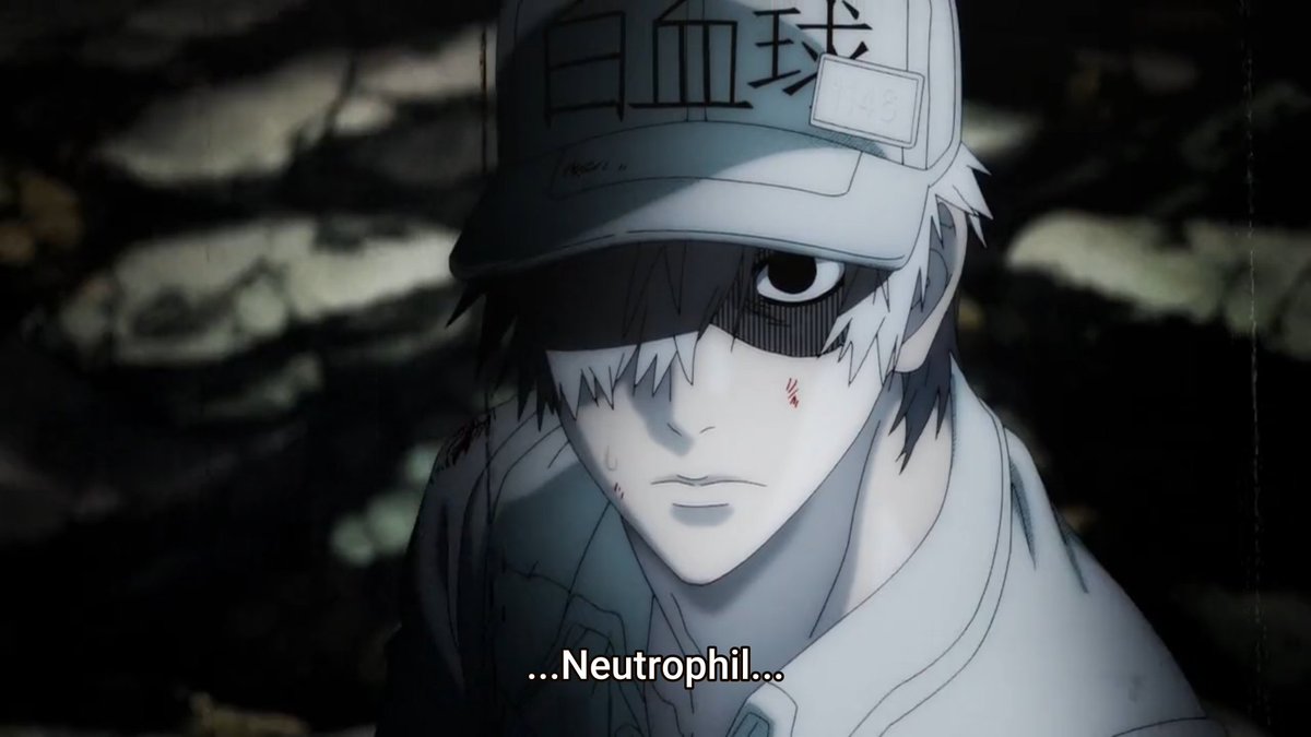 AnjoKeMo's tweet photo. Cancer cell has risen from the dead. 😱😱😱

#HatarakuSaibou #hataraku_saibou #cellsatwork #CelltsAtWork2 #CellsAtWorkSeason2 #NKCell #MemoryTCell #WhiteBloodCell #CancerCell #anime https://t.co/OCVT0qN76V