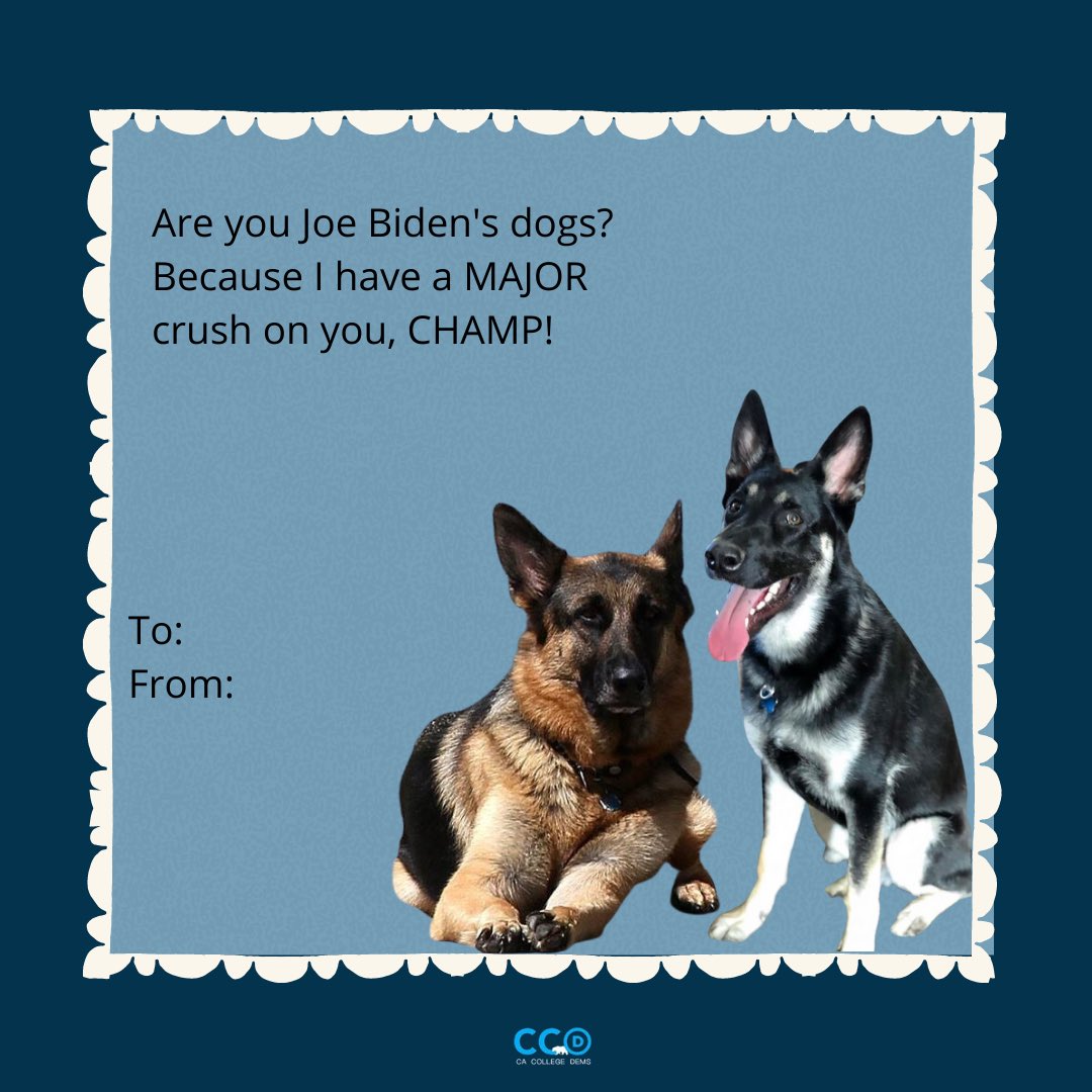 Happy Valentine’s Day! Send a Valentine to your political bestie today!💙💙💙