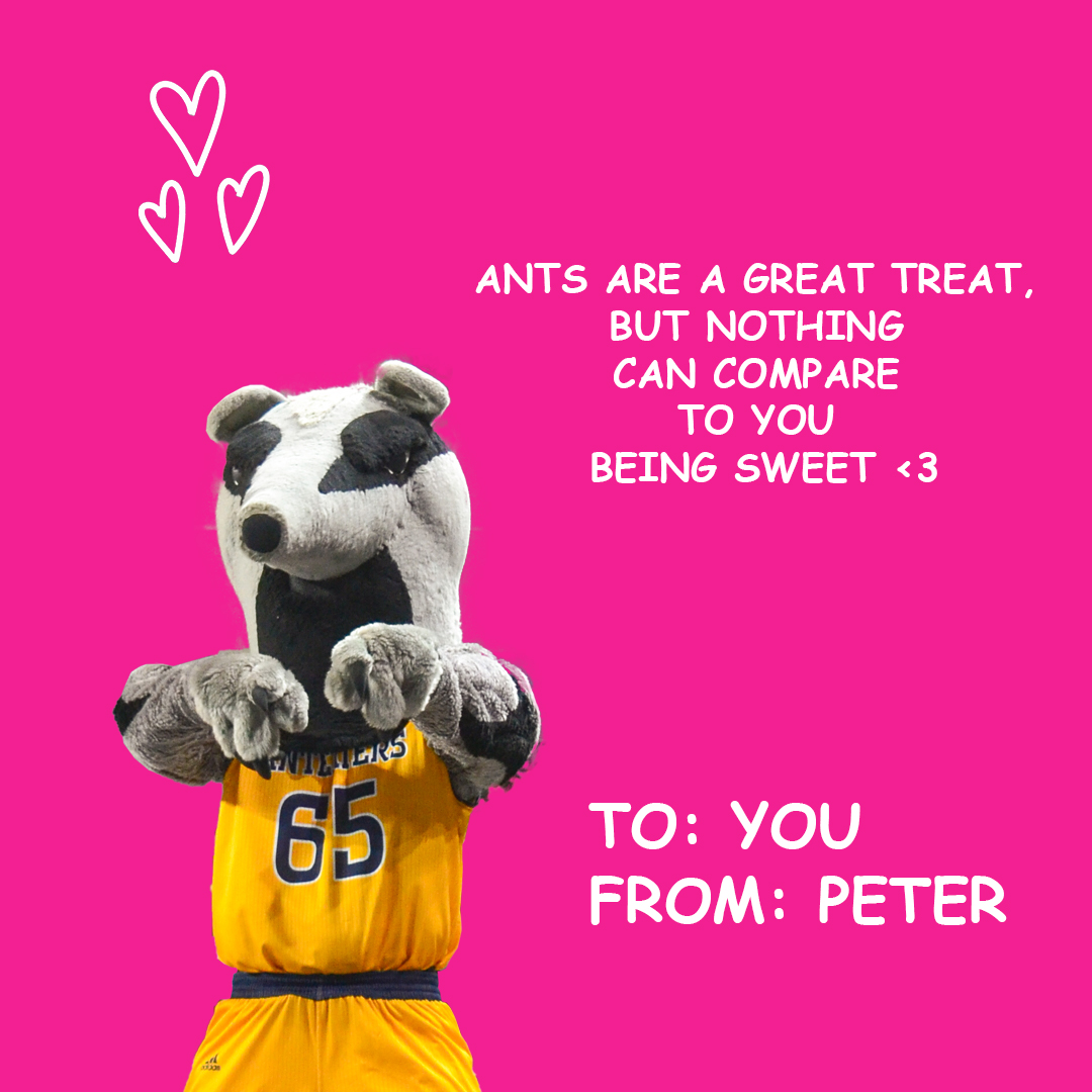 Peter The Anteater™ tweet media