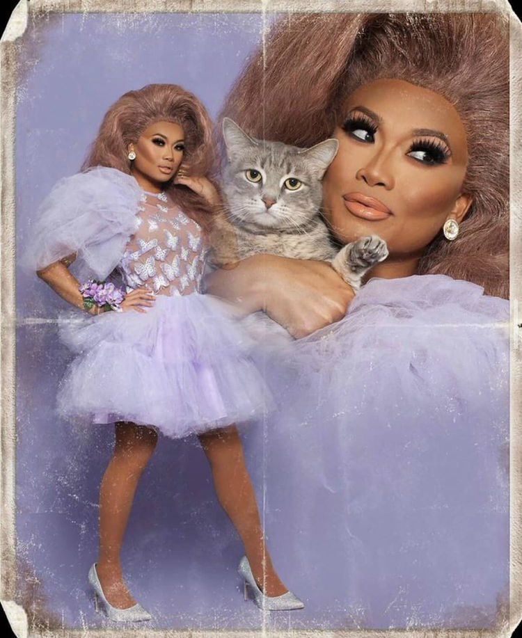 Chloe Cat tweet media