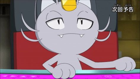 my valentine's day gift from nanu is pebbles. thank you, babe. you shouldn't have.