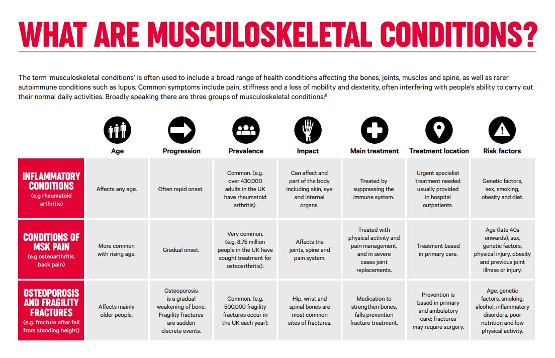 LifeFitWellness's tweet photo. 💥#Musculoskeletal conditions 💥
What are they? 🤔
Who do they affect? ❓
Risk factors & treatment? ❗
#IamLifeFit #physiotherapy #MSKphysio #MSK #physiofalkirk #physio #rehab #arthritis #pain #osteoporosis #osteoarthritis #exercise #CSP #charteredsocietyofphysiotherapy https://t.co/K2iAEhLNaa