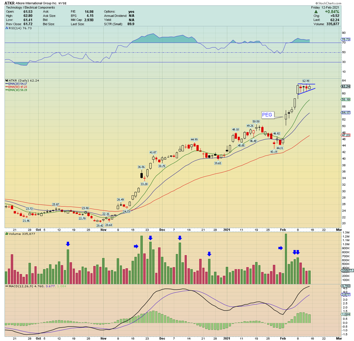 ATKR pennant at highs after a PEG. IBD #4 on the top 50. Lower average volume