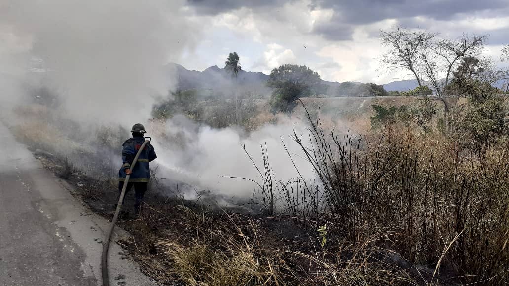 #ZOEDAN #Carabobo Incendio de Vegetación enMunicipio Guacara, Autopista Regional del Centro, kilómetro 145, sentido Guacara- Valencia atendido por <a href="/BomberosGuacara/">BomberosGuacaraOficial</a> 
<a href="/DGNBEnLinea/">DGNB</a>
<a href="/gestionperfecta/">Carmen Meléndez</a>
<a href="/MIJP_Vzla/">MPPRIJP</a> 
#CarnavalesBioseguros2021