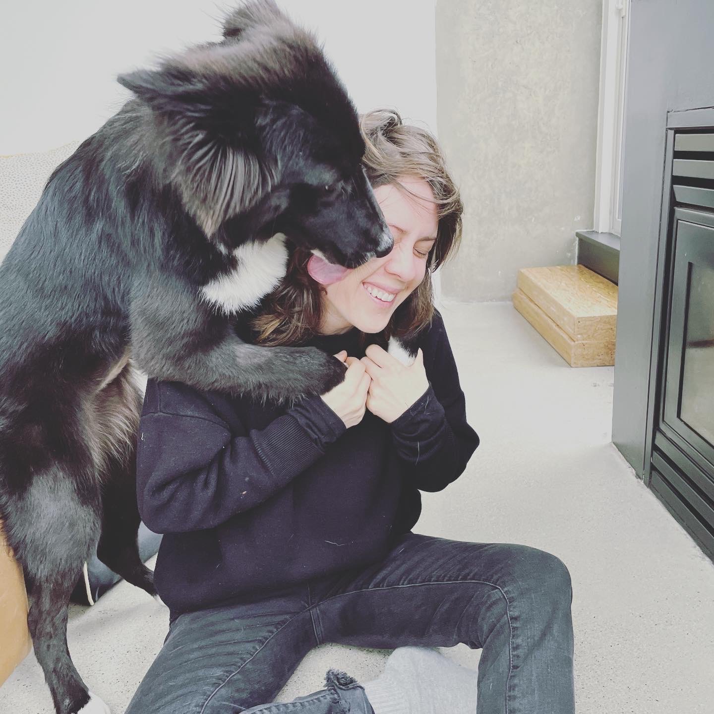 Should I Let My Dog Lick My Face