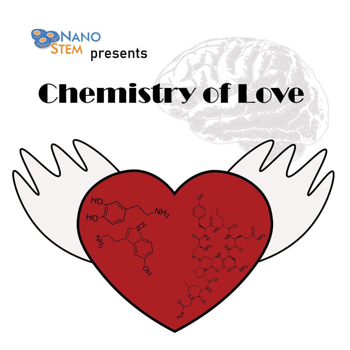 nanostemMSCA's tweet photo. What makes us fall in love? We present you the chemistry of love💓🧪 Happy #ValentinesDay from the NANOSTEM team 💕 #love #chemistry #Science #MSCA #ITN https://t.co/mqMpBuzelG