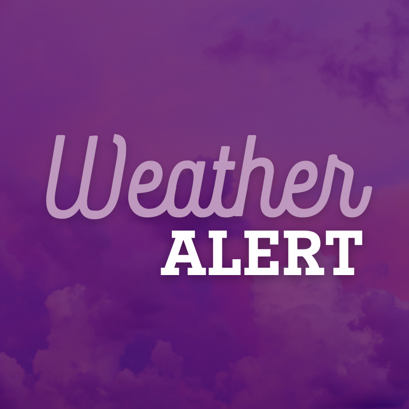 CHRISTUS Trinity Mother Frances tweet media