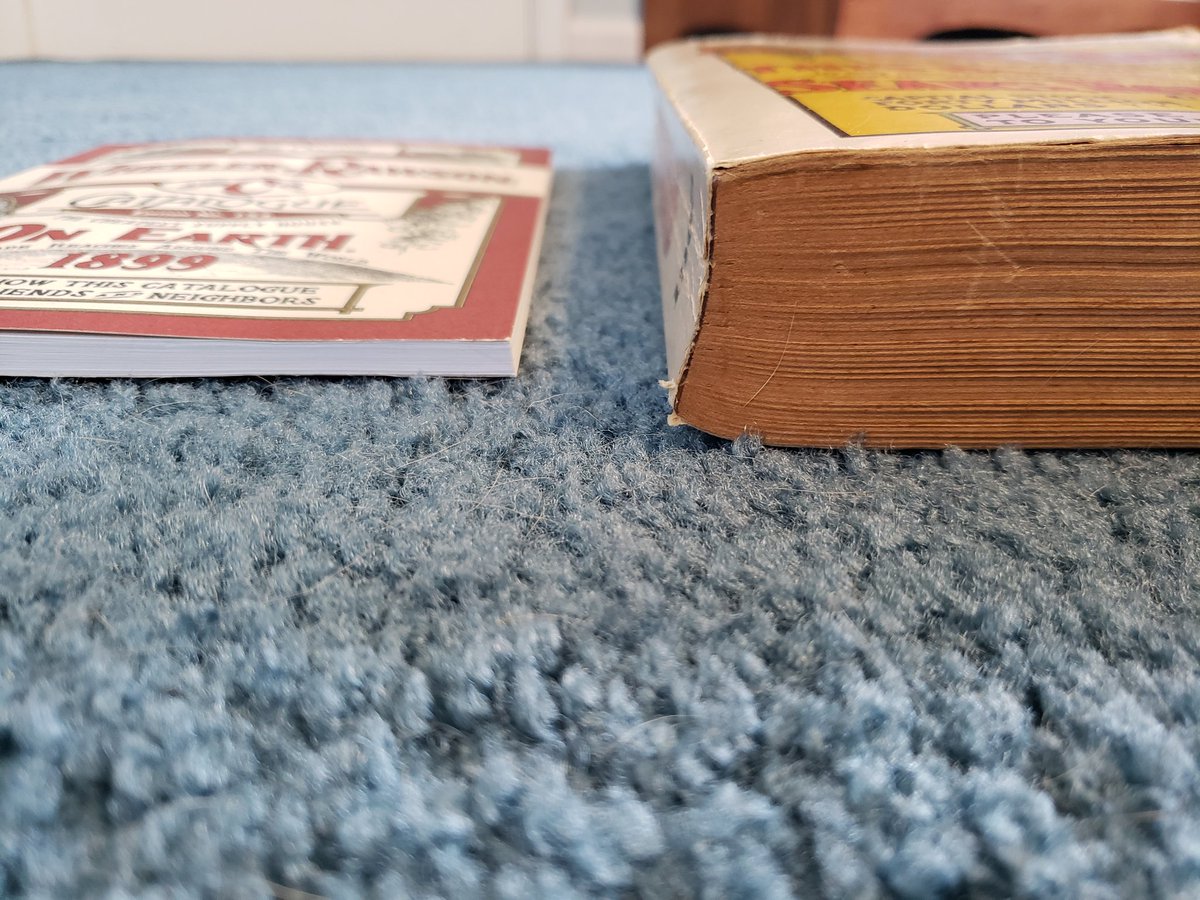 Here's a thread comparing the 1908 Sears and Roebuck catalogue to the RDR2 1899 catalogue (physical copy from the collector's box). It's amazing how well the catalogue was replicated!