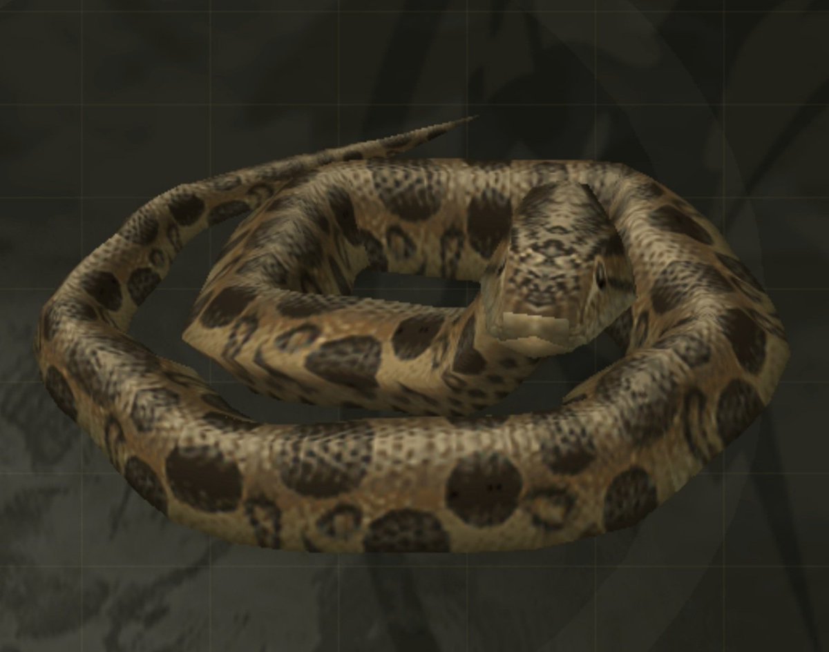 The subtitle of MGS3 is “Snake Eater”. In the game, you can eat animals for survival, among which are snakes. It’s fair to speculate that this is tied to the name. Personally we prefer Snake Soup.