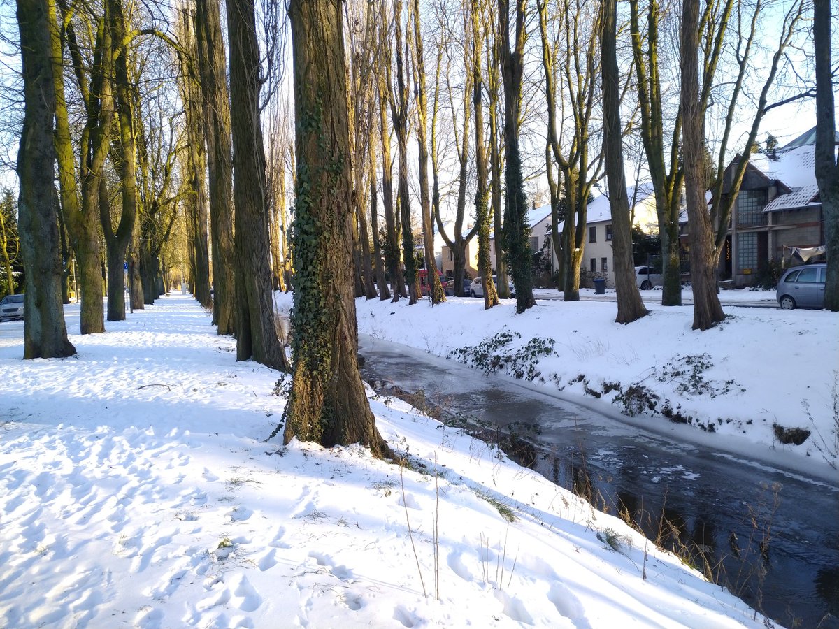 fotoaufnahme's tweet image. Heute hatte der #Rotbach in Dinslaken mehr #Eis als gestern. Die letzte Nacht war auch kälter. Die Sonne heute war wunderbar und hat gut getan.
