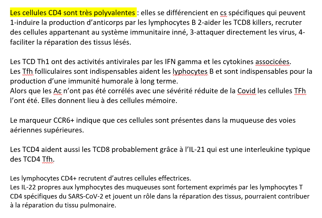 23/n A travers les interférons (IFN) exprimés les LTCD4 ont aussi un rôle dans la régulation de la réponse immunitaire.
