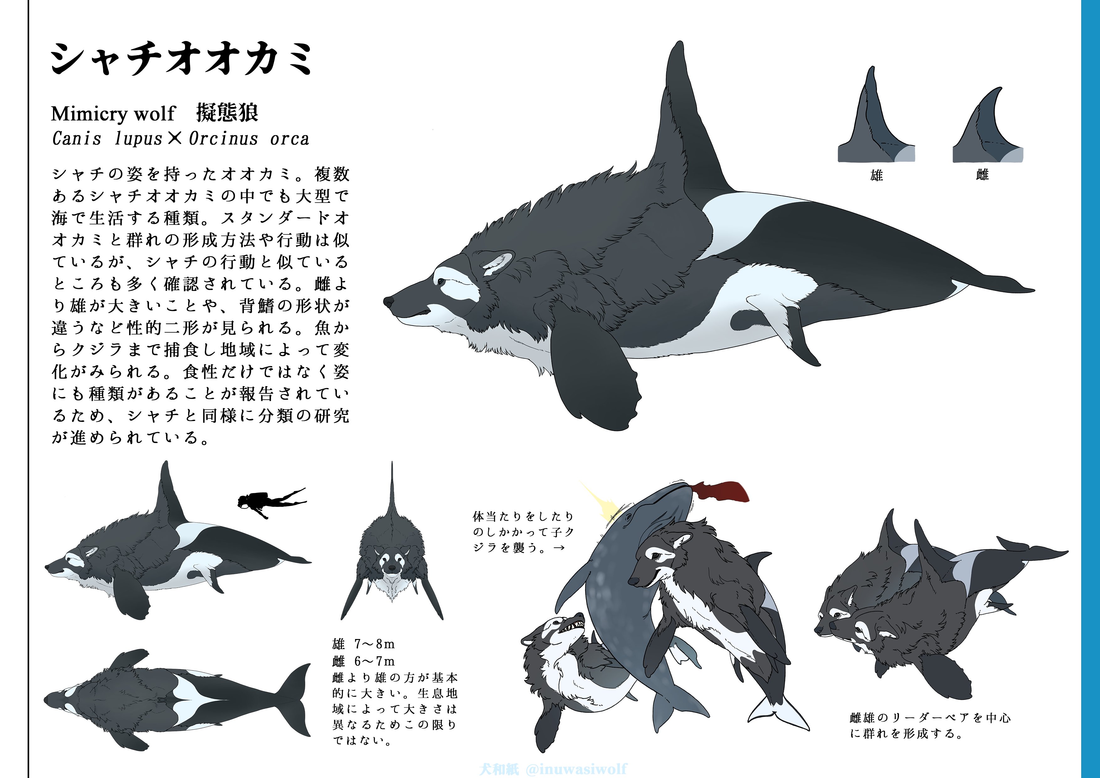 ビーンズ Rrszcveh3bgimyf Twitter