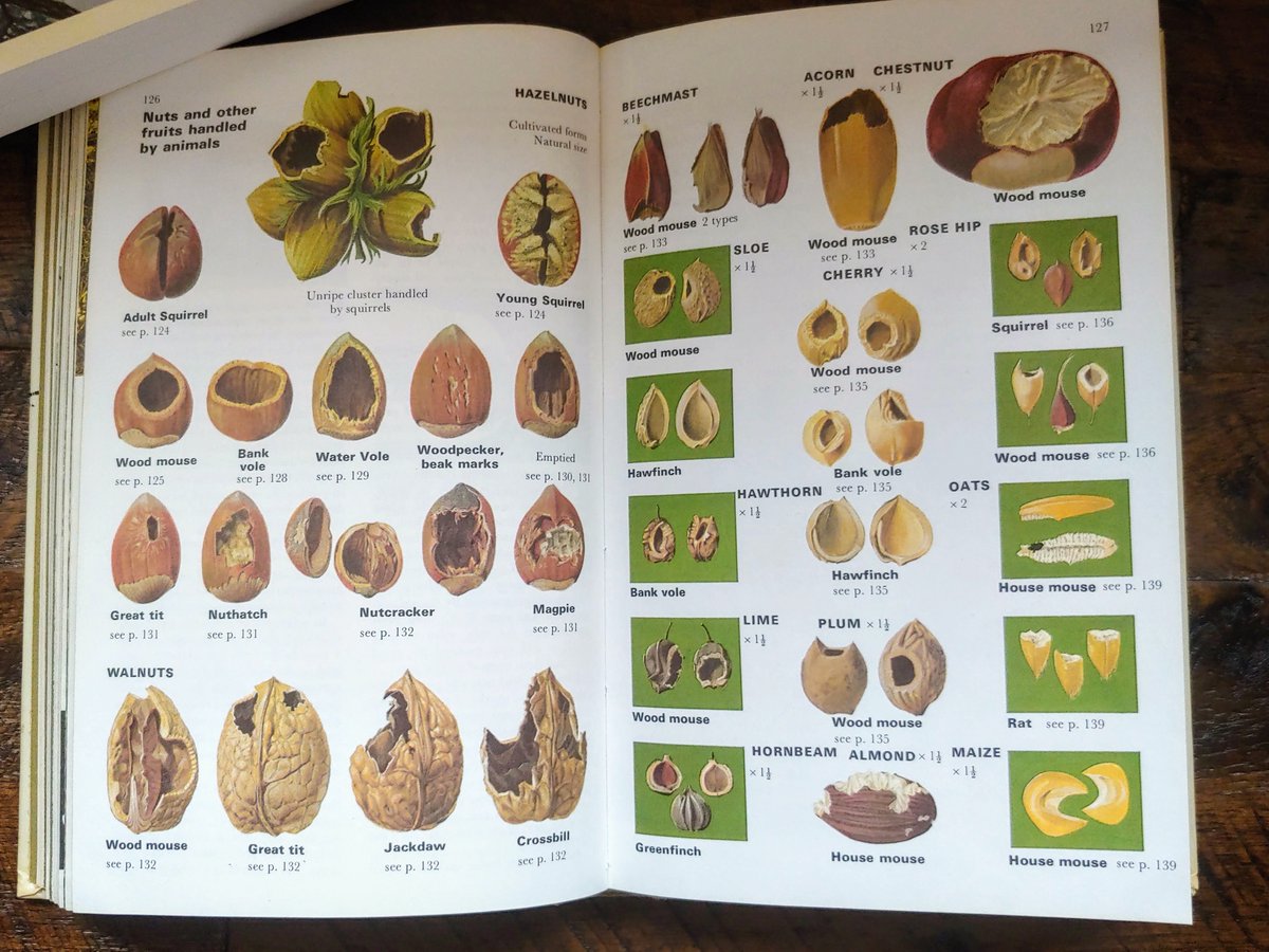 Nuts and other fruits handled by animalsCones handled by animals