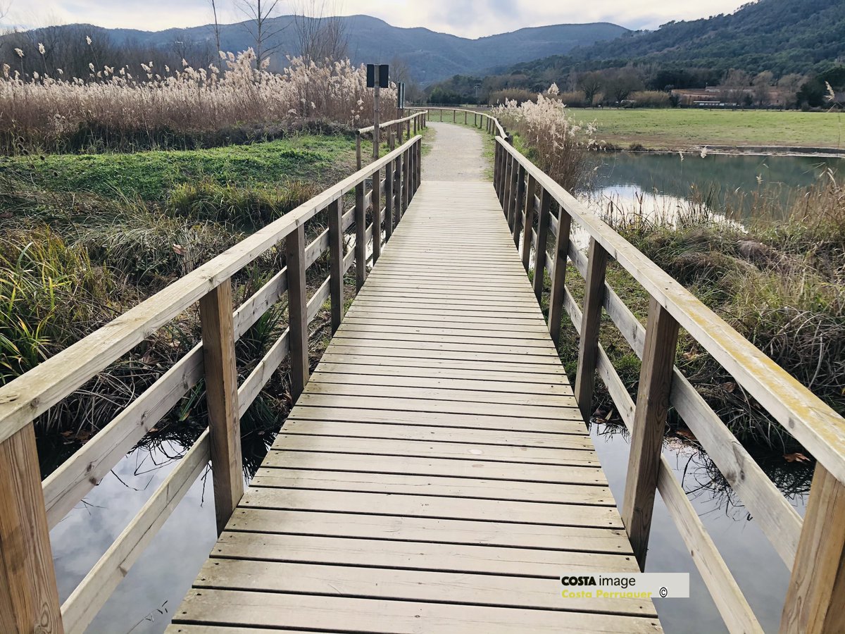 Ramon Costa (@costaperruquer) on Twitter photo 