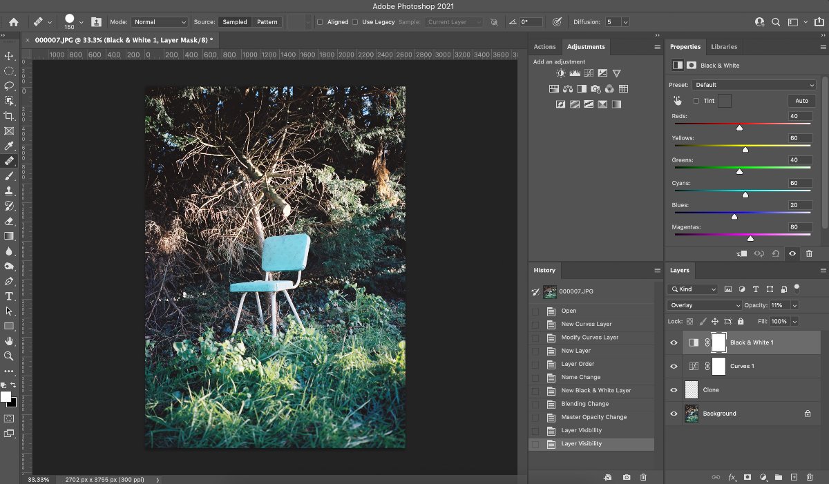 Introducing Our NEW March 8th 90 Minute Photoshop Editing Online Interactive Course. Secure your spot today! 😉 #dpsonlinecampus #onlinephotography #adobephotoshop - mailchi.mp/dublinphotogra…