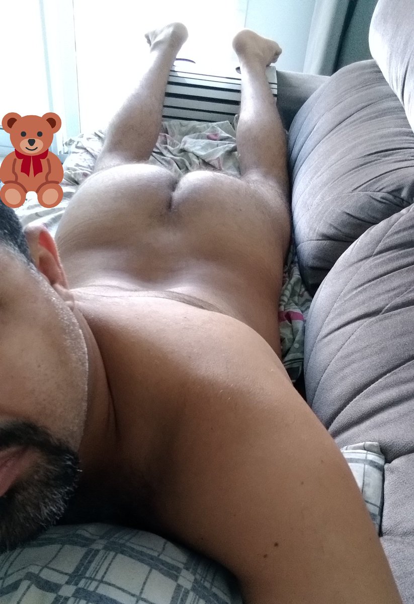 Peludin Safadin 013 🐻🏳️‍🌈 tweet media