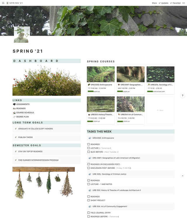 NotionBoost's tweet image. spring semester dashboard with a kind-of virtual garden :)

#notion #notiontips #notionboost #notiondashboard