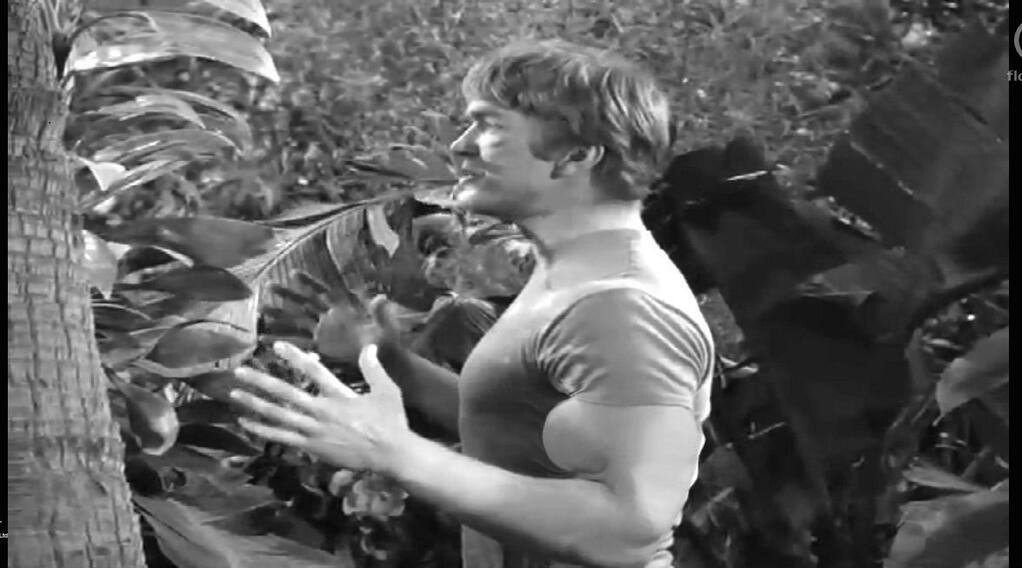 GIDukeWilli789's tweet photo. Don’t flex Duke. There’s not enough thread in Mary Ann’s sewing kit to put that shirt back together! #SurferDuke https://t.co/rn5QM2qTEJ