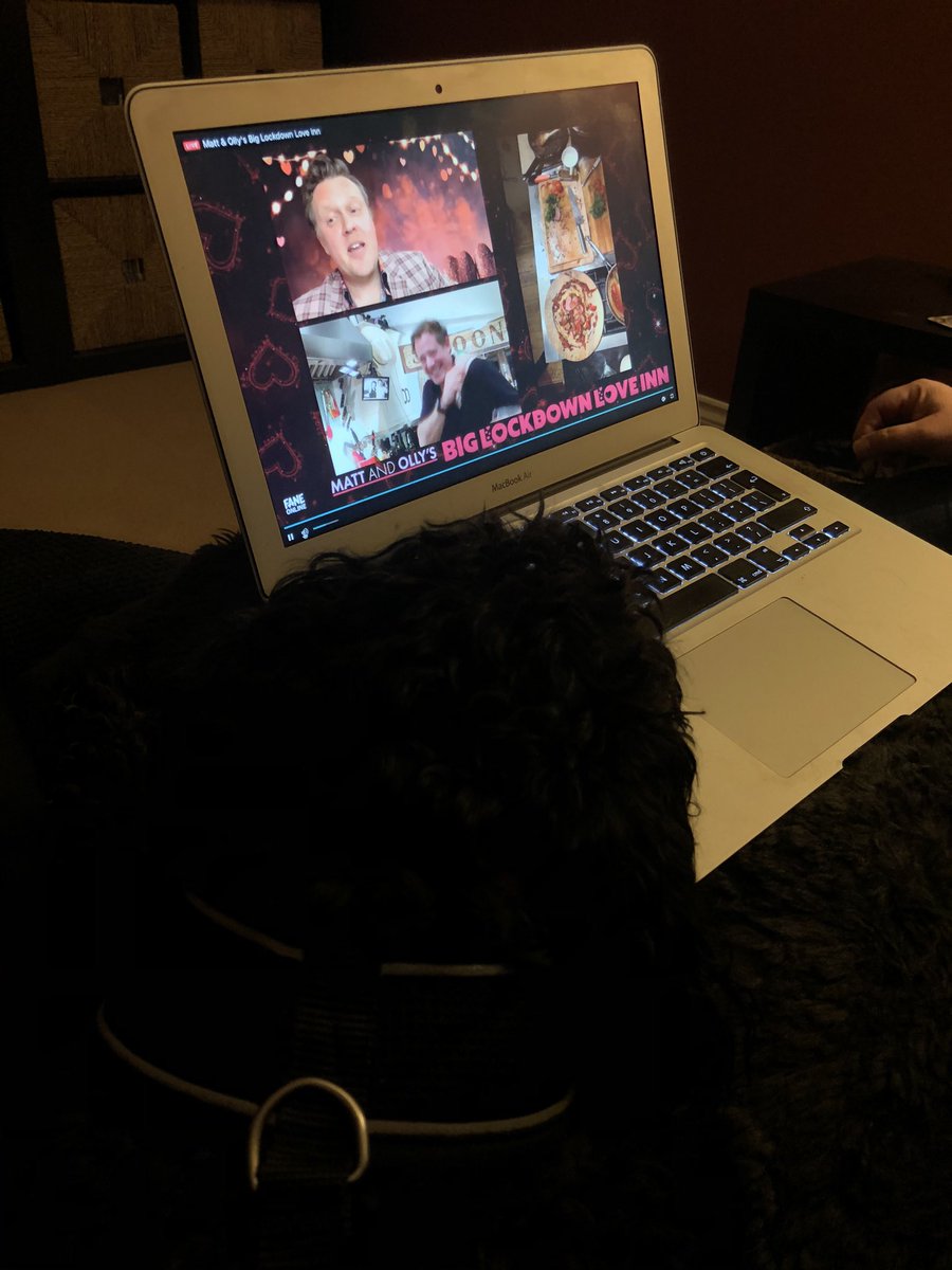 lizziejwatson's tweet photo. #moblli Absolutely hilarious, the dog is not happy that you prefer cats! https://t.co/vRMxt6GQLs